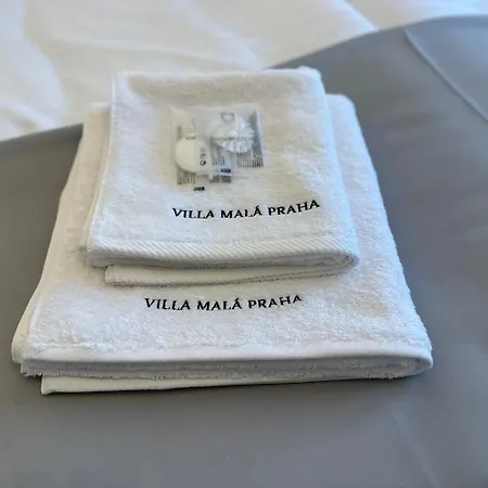 Mala Praha Experience In The Center Of Zsolna